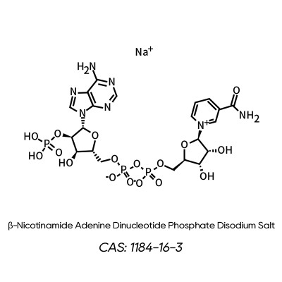 NADP, 氧化型辅酶 II _CAS: 1184-16-3